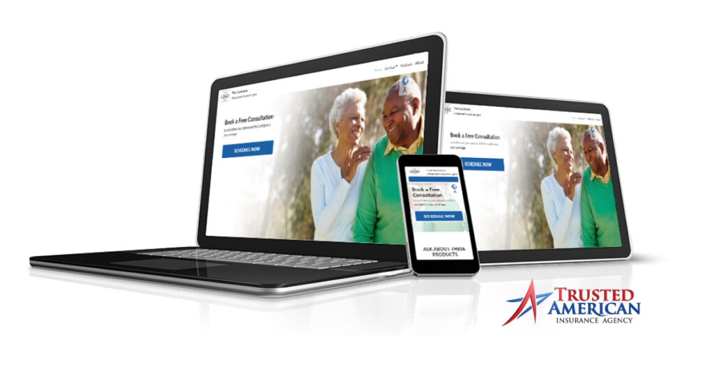 Website services for medicare insurance agents